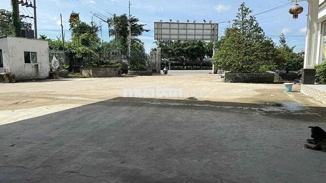 Cho Thuê Kho 2000m2 sân rộng - QL1A- Cái Bè