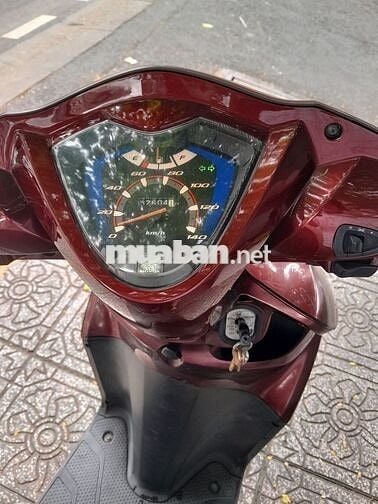 Xe vision 2013