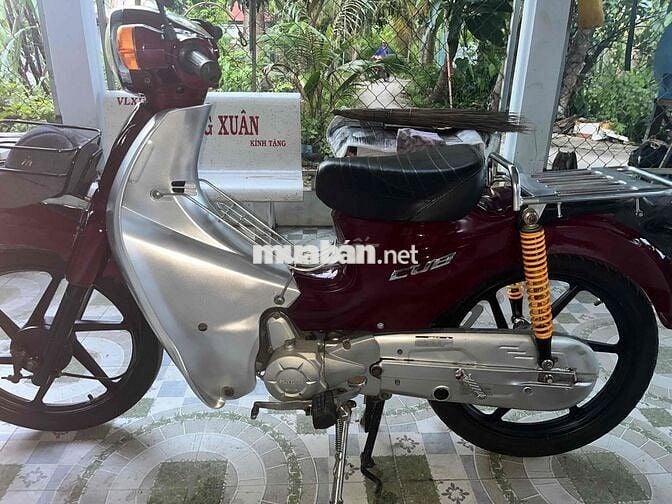 xe Cub 50cc