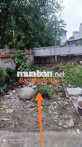 ✈️ĐẤT HIẾM TƯ ĐÌNH.GẦN CỔ LINH.TT LONG BIÊN✈️46m2. Giá 4.1 tỷ.10m ô t ✈️ĐẤT HIẾM TƯ ĐÌNH.GẦN CỔ LINH.TT LONG BIÊN✈️46m2. Giá 4.1 tỷ.10m ô t