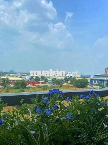 MỨC GIÁ TỐT TRANH THỦ MUA Q7 RIVERSIDE (BÁN TỔNG HỢP 1-2-3PN)