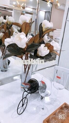 Cho thuê CH 1PN Full nội thất tại EVERRICH
