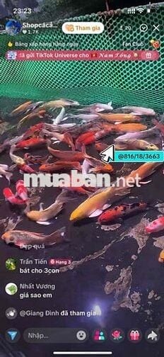 cho thuê nhà nguyên căn siêu đẹp