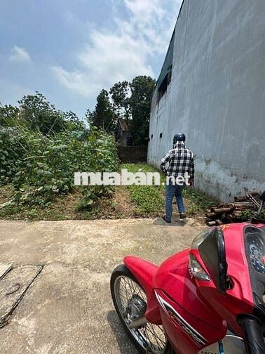 🔥 ĐẤT RẺ ĐẸP Sát Quốc LỘ 1A 👉 Mai xá - thắng lợi - thường tín - HÀ N