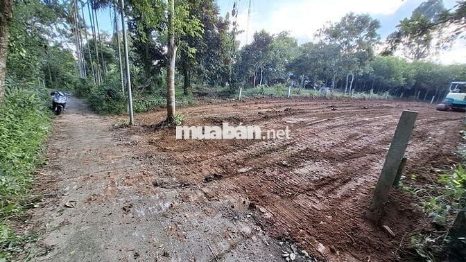 Bán đất tại Ninh An, Hòa Nhơn, xã Bà Nà, Đà Nẵng, 1,6 tỷ, 439,9 m2
