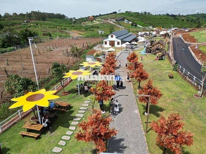 Lô đất nền cạnh Sun Valley Farm Bảo Lộc giá 1,5 tỷ, full thổ cư