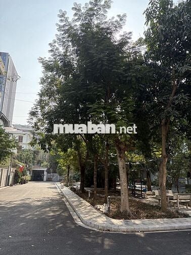 Cho thuê BT Vườn Đào 45 triệu, 165m2, 6PN 4WC view đẹp tại Tây Hồ,