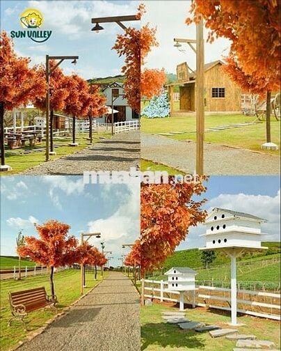 Lô đất nền cạnh Sun Valley Farm Bảo Lộc giá 1,5 tỷ, full thổ cư