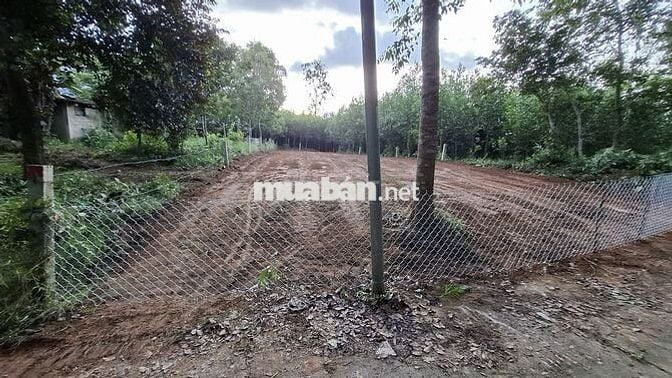 Bán đất tại Ninh An, Hòa Nhơn, xã Bà Nà, Đà Nẵng, 1,6 tỷ, 439,9 m2