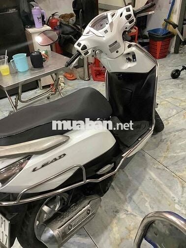 Leed Fi màu trắng xe zin Bstp