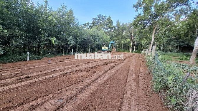 Bán đất tại Ninh An, Hòa Nhơn, xã Bà Nà, Đà Nẵng, 1,6 tỷ, 439,9 m2