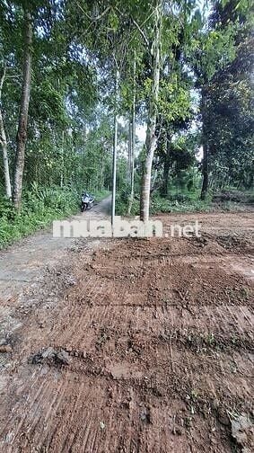 Bán đất tại Ninh An, Hòa Nhơn, xã Bà Nà, Đà Nẵng, 1,6 tỷ, 439,9 m2