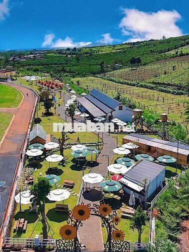Lô đất nền cạnh Sun Valley Farm Bảo Lộc giá 1,5 tỷ, full thổ cư