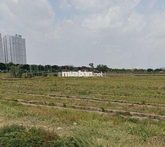 Con trái đòi lấy vợ bán gấp đất dt 117,5m2 giá 763tr Bình Chánh
