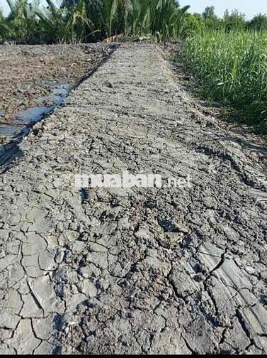 bán 10700m đất nông nghiệp Phú Đông, Nhơn Trạch, view sông ông kèo