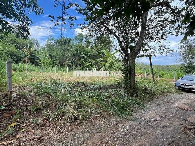 Đất thổ cư 20x20m đường ô tô Vĩnh Tân, Bình Dương