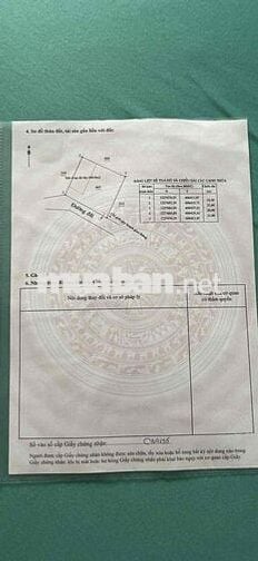 Đất thổ cư 20x20m đường ô tô Vĩnh Tân, Bình Dương