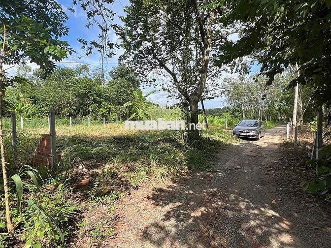 Đất thổ cư 20x20m đường ô tô Vĩnh Tân, Bình Dương