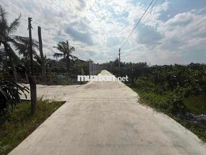 Đất full thổ 100% đường đan 3.5m chính chủ bán