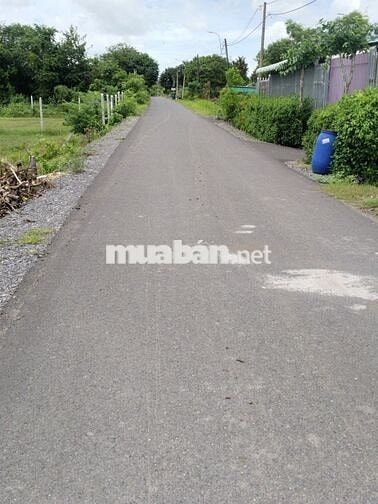CHỦ NGỘP NGÂN HÀNG CẦN BÁN ĐẤT GIÁ RẺ – CỦ CHI,Giá bán: 430 triệu