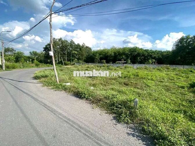 Đất tại Đ. NE5, TP. Bến Cát nóng từng giờ, lời từng ngày giá chỉ 850tr