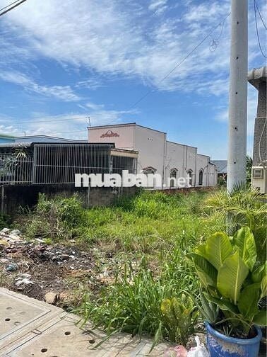 BÁN ĐẤT TÂN THẠNH ĐÔNG MT KIM CƯƠNG 10X50 THỔ CƯ SHR GIÁ CHỈ CÒN 850TR