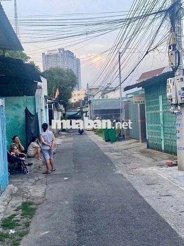 Bán 990m2 đất đường nhựa kế bên ĐH TDM, giá 14tr/m2. Đa công năng sd
