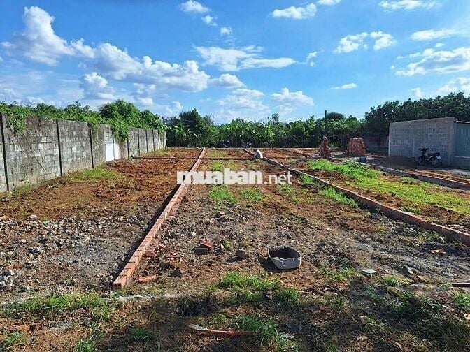 Đất sổ riêng thổ cư Phường Tân Triều