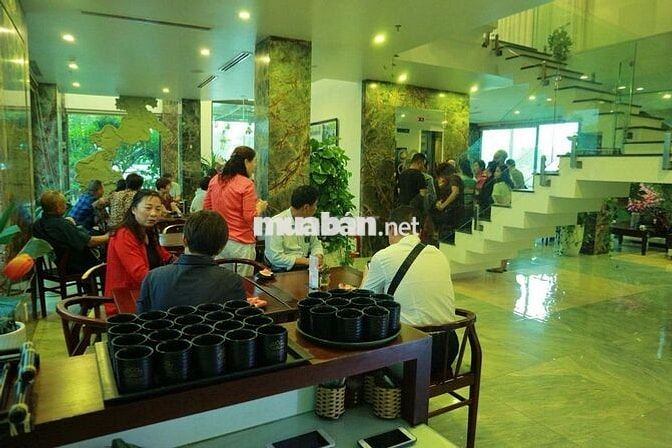 🔴 (NCC) CHO THUÊ SPA 7 TẦNG ĐƯỜNG 15M, SƠN TRÀ   300m² × 7 tầng