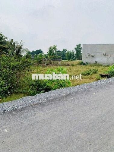 Bán đất gần BÀU TRE 2 ,TÂN AN HỘI, huyện Củ Chi DT 130M2  GIÁ 520TR