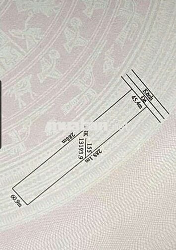 Đất vườn dt 13.190,4m giá 4tỷ420.thạnh lợi bến lức xe otô tới đất