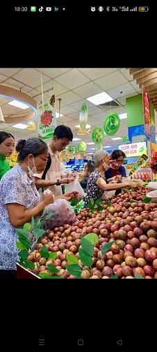 Thông Báo Siêu Thị Cần Tuyển Nhân Viên Bán Hàng, Bảo Vệ, Kho