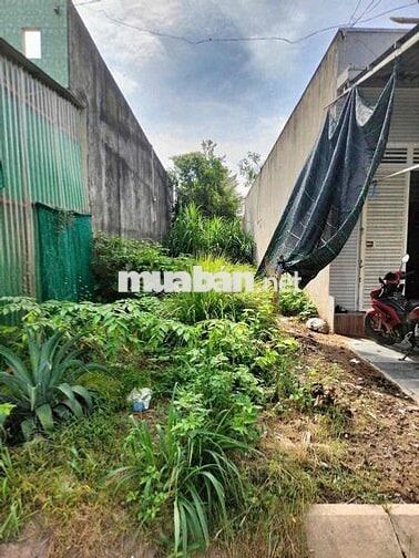 💖💖 Chủ cần bán nền đẹp – ĐS16, KDC Thanh Yến, Nhựt Chánh, Bến Lức, Lon