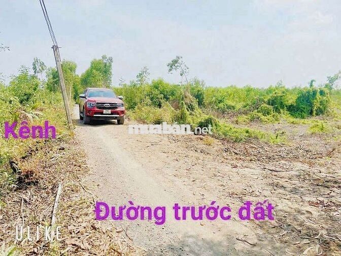 Đất vườn dt 13.190,4m giá 4tỷ420.thạnh lợi bến lức xe otô tới đất
