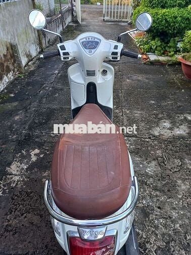 Tay ga Like 50cc