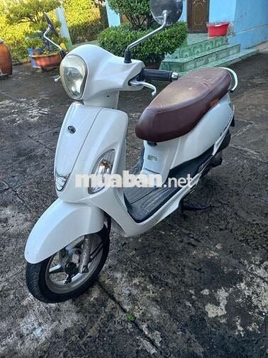Tay ga Like 50cc