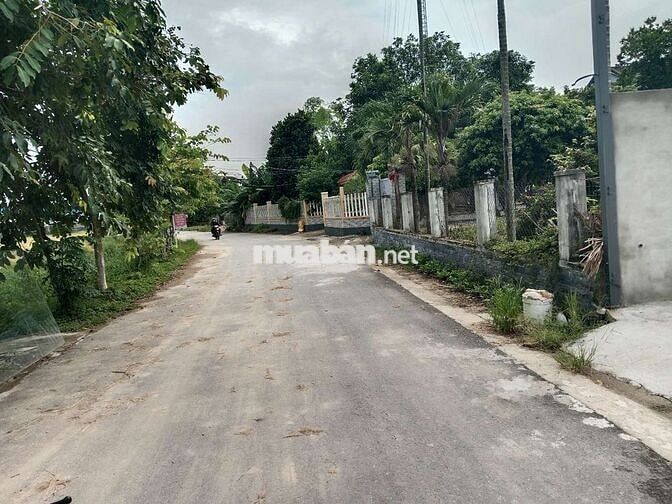 Chính chủ gởi bán lô đất quá giáng 2 hoà phước phường hoà xuân