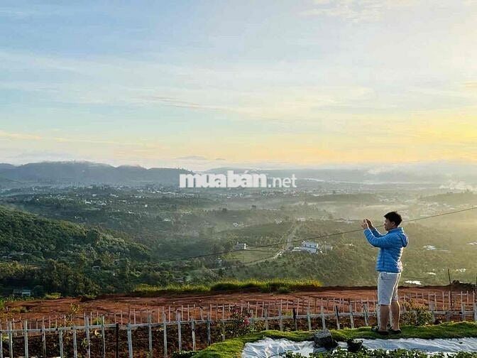 Cho Thuê hoặc hợp tác làm quán Cafe săn mây cực đẹp, View Cổng trời