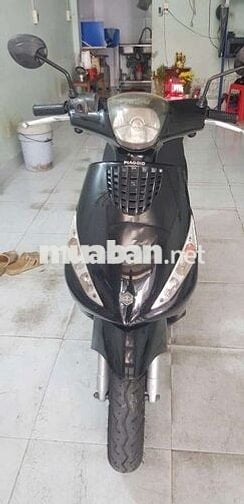 Zip 100 chính chủ