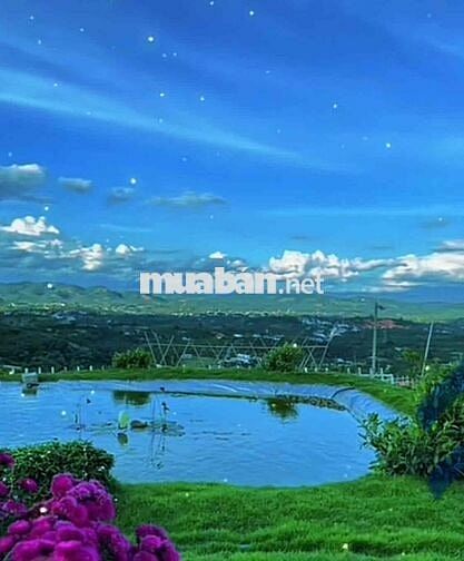 Cho Thuê hoặc hợp tác làm quán Cafe săn mây cực đẹp, View Cổng trời