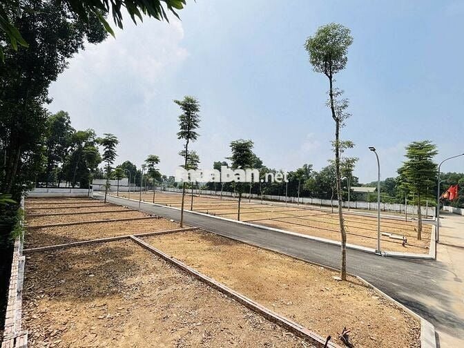HƠN 1 TỶ 3 MUA ĐƯỢC ĐÂT HÀ NỘI LÀ CÓ THẬT NHA CÁC BÁC