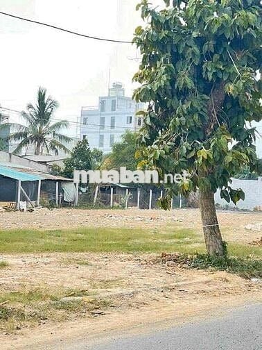 BÁN ĐẤT MẶT TIỀN NHỰA XUÂN THỚI THƯỢNG HÓC MÔN GIÁ 4ty5