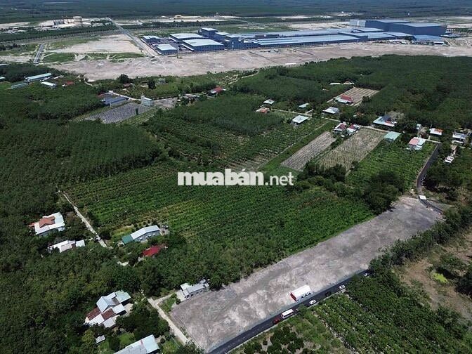 Đất KCN mặt tiền nhựa thông 8m có sắn thổ cư 100 sổ riêng