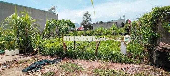 BÁN LÔ ĐẤT TỈNH LỘ 2 XÂY DỰNG TỰ DO CHỈ 930 triệu