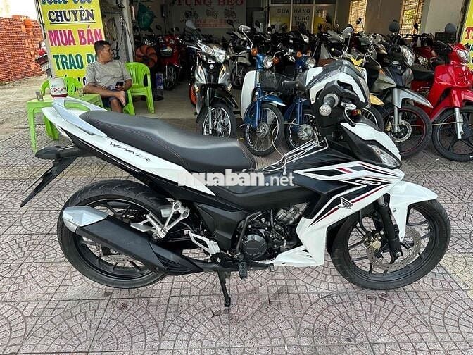 winer V1 xém cọp vĩnh long