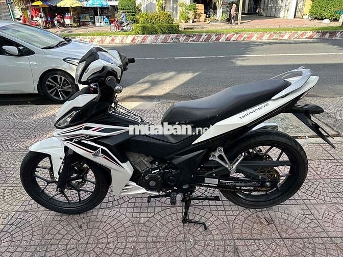 winer V1 xém cọp vĩnh long
