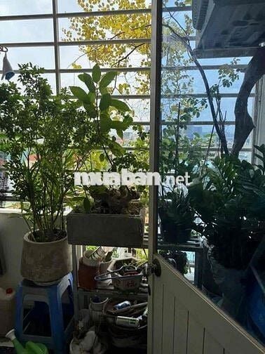 Chung cư 24AB D5, P25 Bình Thạnh – Căn góc 3PN, sổ hồng, giá tốt