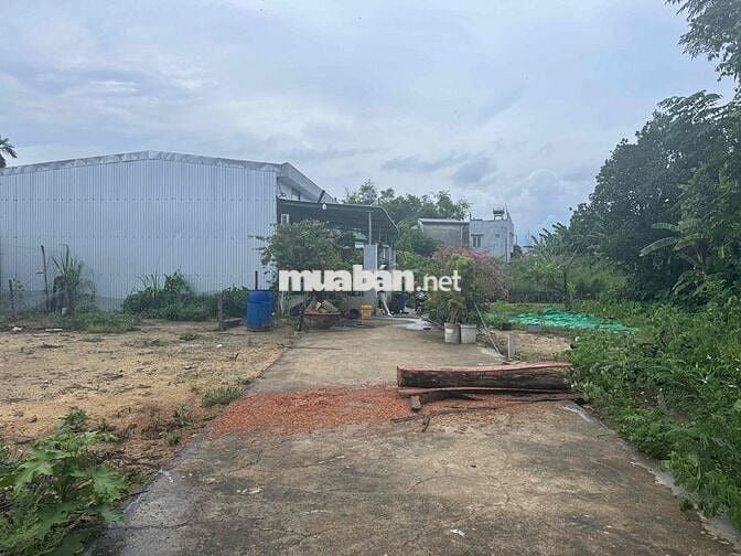 Bán đất Phong Nam - Hoà Xuân ngang 8