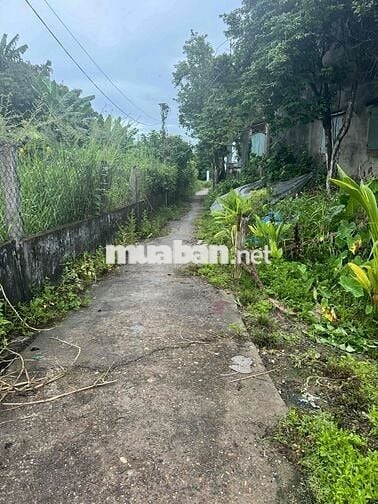 Bán đất Phong Nam - Hoà Xuân ngang 8