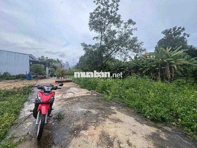 Bán đất Phong Nam - Hoà Xuân ngang 8